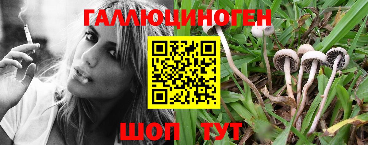 Гатчина  Галлюциногенные грибы мухоморы  Вход с VPN  Псилоцибиновые грибы Psilocybe 
