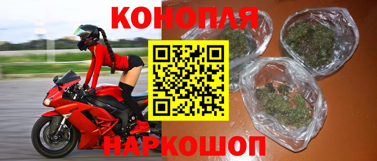 Шишки марихуана индика  Канабис VHQ  МАРИХУАНА гибрид  Вход с VPN  Канабис тримм  Гатчина 